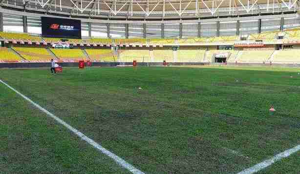  图卢兹主场草皮质量问题引争议  